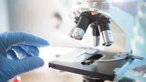 Australia tuyên bố tạo đột phá trong việc chống lại virus corona 